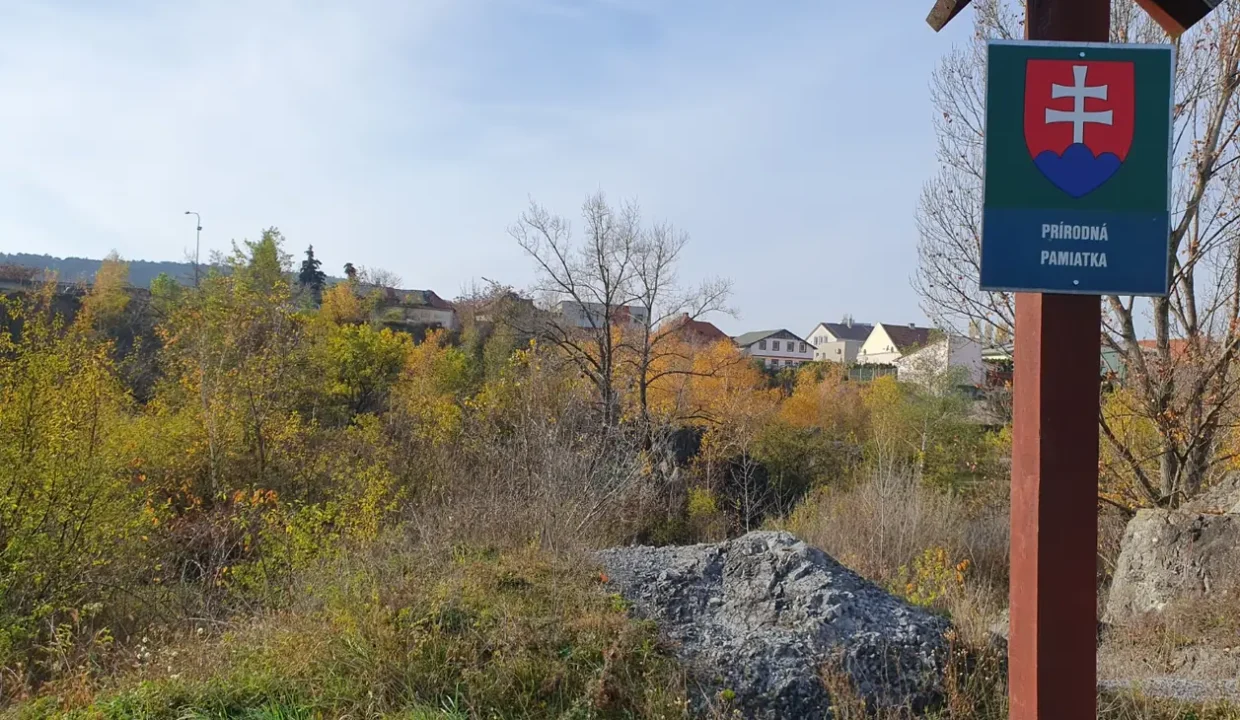 2-izbovy-byt-na-rekonstrukciu-56-m2-sturova-nitra-10