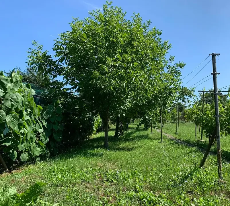 3-izbovy-rodinny-dom-pozemok-1251-m2-modranska-senkvice-01