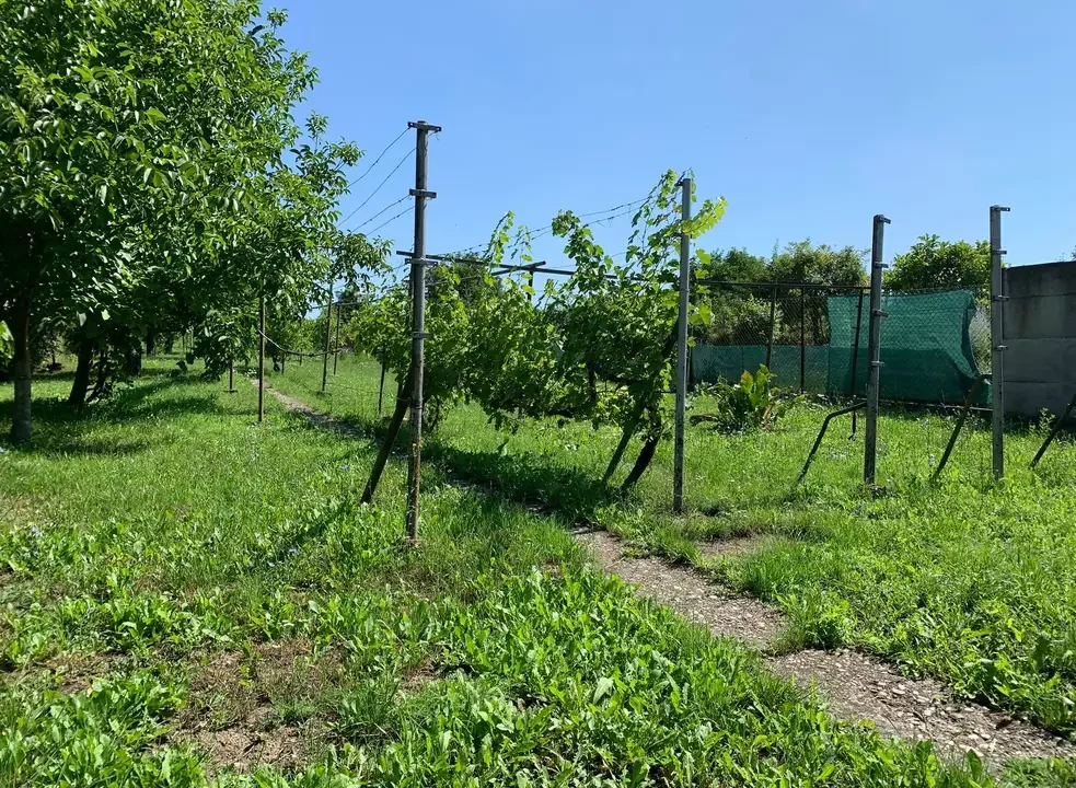 3-izbovy-rodinny-dom-pozemok-1251-m2-modranska-senkvice-16