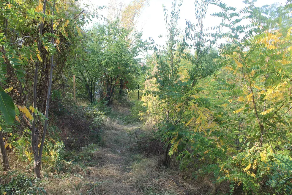stavebny-pozemok-590-m2-senec-03