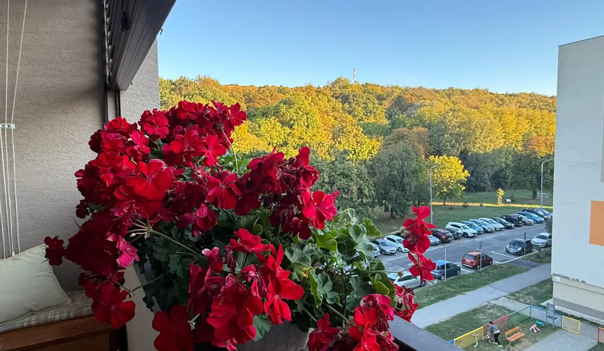 HLOHOVEC Gaštanová 3iz. byt14